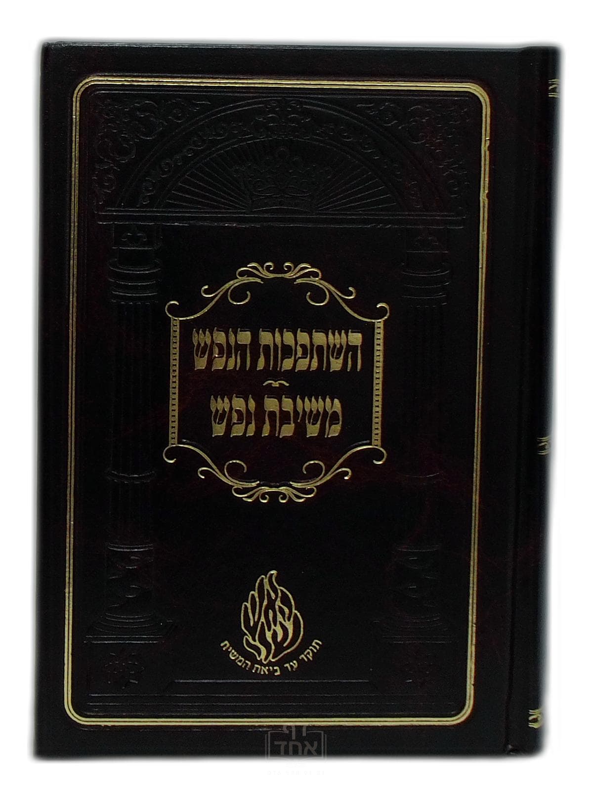 השתפכות הנפש ומשיבת נפש