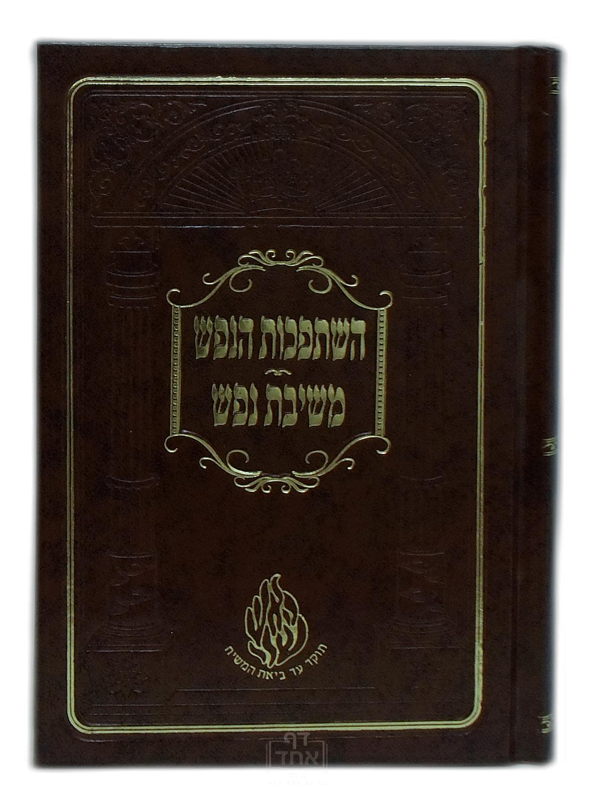 השתפכות הנפש ומשיבת נפש