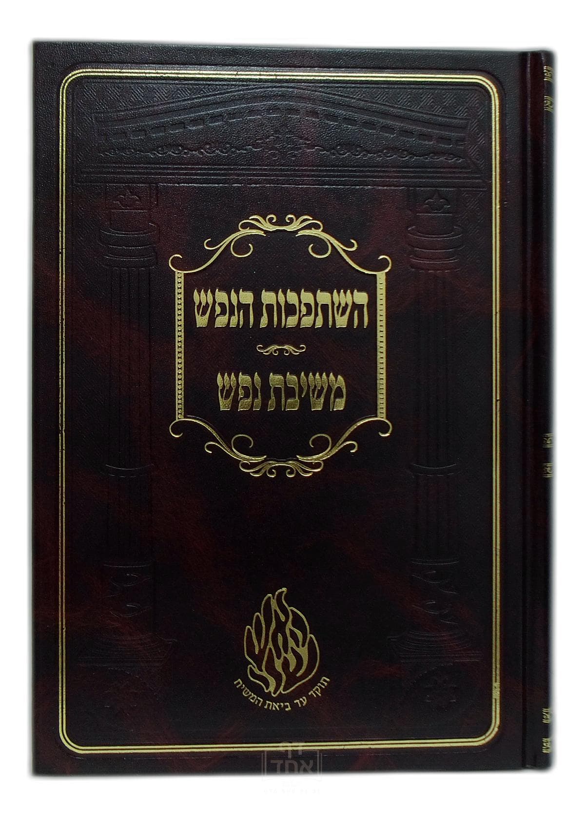 השתפכות הנפש ומשיבת נפש