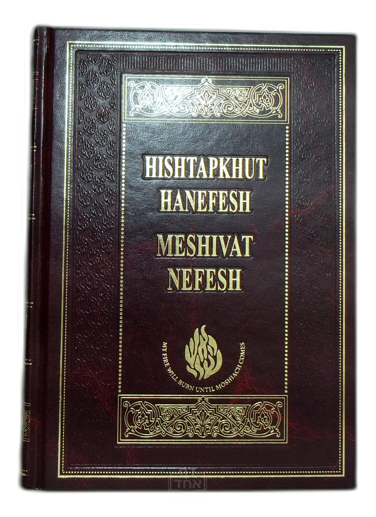 השתפכות הנפש ומשיבת נפש